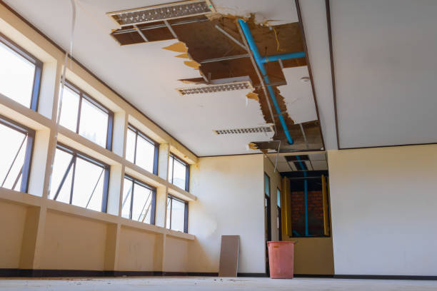 Best Carpet water damage restoration  in Stone Ridge, NY