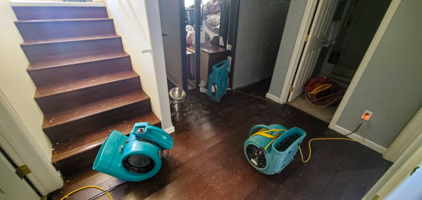 Best Local water damage restoration  in Stone Ridge, NY