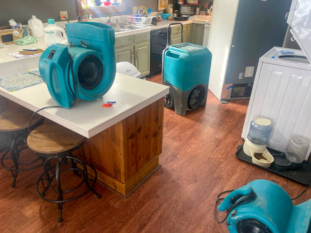 Best Carpet water damage restoration  in Stone Ridge, NY