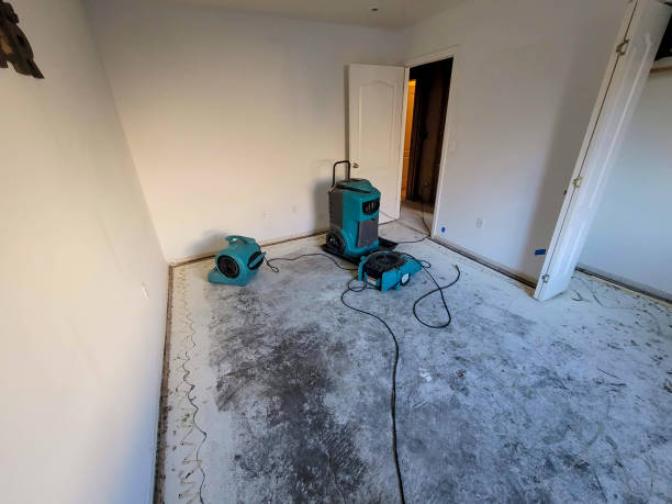 Best Water damage restoration process  in Stone Ridge, NY