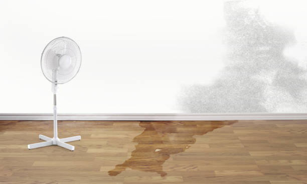 Best Professional water damage repair  in Stone Ridge, NY