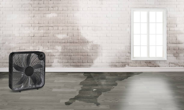 Best Commercial water damage restoration  in Stone Ridge, NY