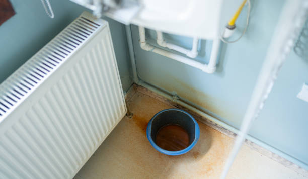 Best Flood damage cleanup  in Stone Ridge, NY