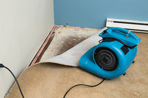 Professional Water damage restoration in Stone Ridge, NY